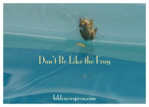 Don't Be Like the Frog